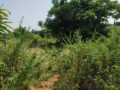 V S Venture piglipur Plots Buy/Sale Kothaguda Pochampally Road Hyderabad