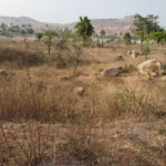 Janachaitanya Plots Buy/Sale near Ramoji Film city Abdullapurmet Hyderabad