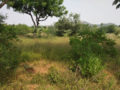 Residential plots for sale R K S Avenue Pochampally Village Hyderabad