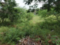 Residential plots for sale in Neem nest Plots Buy/Sale Edulabad Ghatkesar in Hyderabad