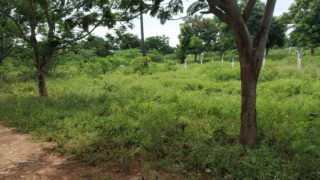 Residential plots Aakruthi County HMDA Plots Buy/Sale Edulabad Ghatkesar in Hyderabad